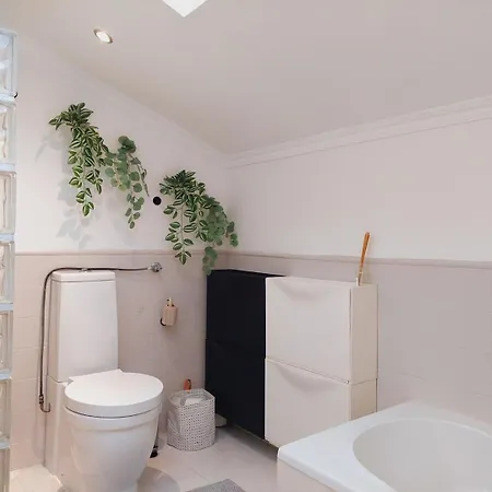 • Downtown • Walkable • Balcony